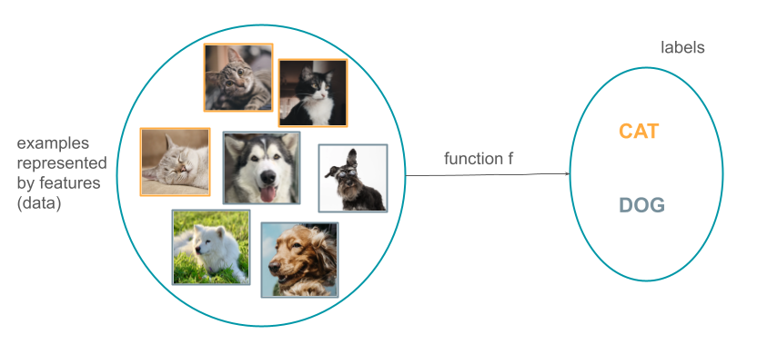 This figure shows a set of examples in machine learning (a set of pictures containing either a cat or a dog), a set of label (CAT, DOG) and a function f that maps between these two sets.