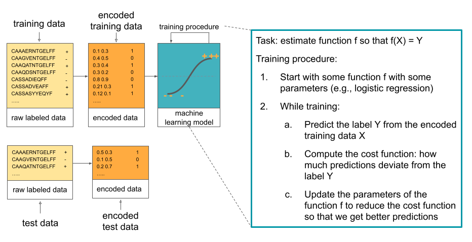 This figure shows ML process consisting of raw data that is encoded, fed to classifier which is then trained until it estimates the function f well enough.