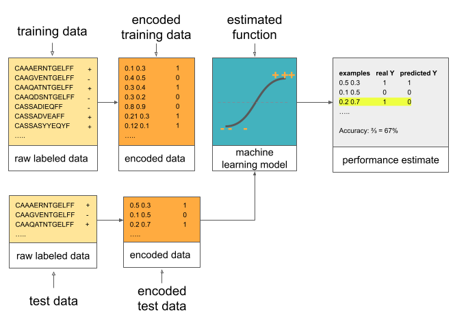 This figure shows the next step of the ML process: encoding raw labeled test data and feeding it to the estimated function to check the function's performance, by e.g., measuring accuracy.