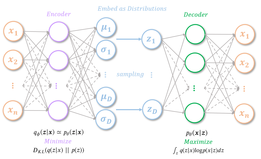 architecture of variational autoencoder (without reparameterization trick)